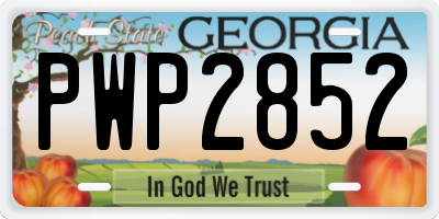 GA license plate PWP2852