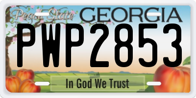 GA license plate PWP2853