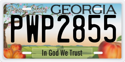 GA license plate PWP2855