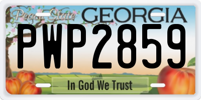 GA license plate PWP2859
