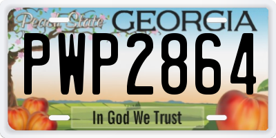 GA license plate PWP2864
