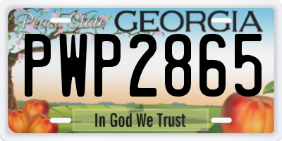 GA license plate PWP2865