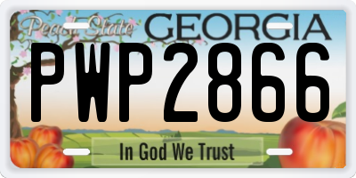 GA license plate PWP2866
