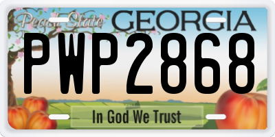 GA license plate PWP2868