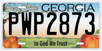 GA license plate PWP2873