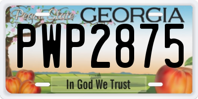 GA license plate PWP2875
