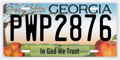 GA license plate PWP2876