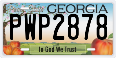 GA license plate PWP2878