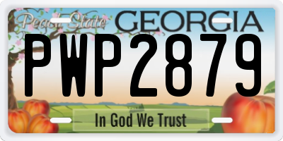 GA license plate PWP2879