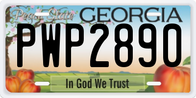 GA license plate PWP2890