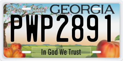 GA license plate PWP2891