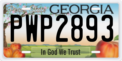 GA license plate PWP2893