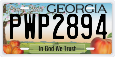 GA license plate PWP2894