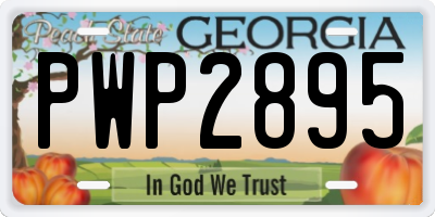 GA license plate PWP2895