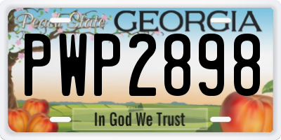 GA license plate PWP2898