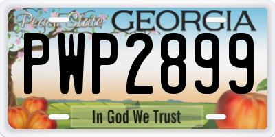 GA license plate PWP2899