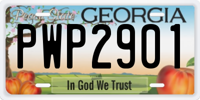 GA license plate PWP2901