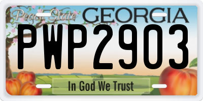 GA license plate PWP2903