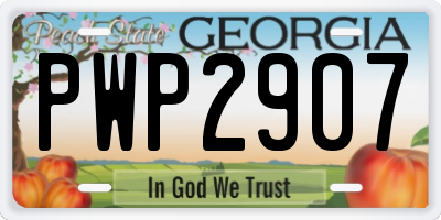 GA license plate PWP2907