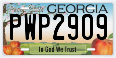 GA license plate PWP2909