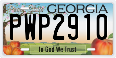 GA license plate PWP2910