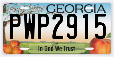 GA license plate PWP2915