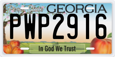 GA license plate PWP2916