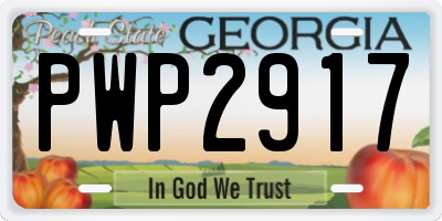 GA license plate PWP2917