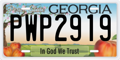 GA license plate PWP2919
