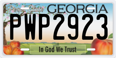 GA license plate PWP2923