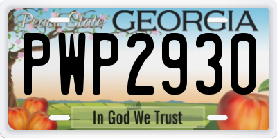 GA license plate PWP2930