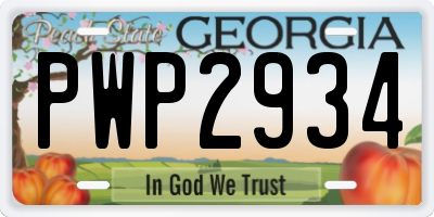 GA license plate PWP2934
