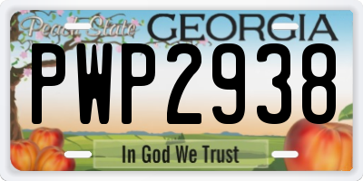 GA license plate PWP2938