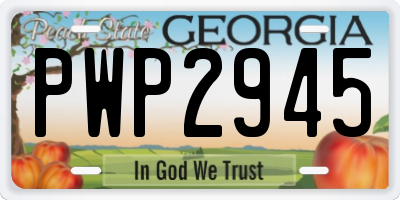 GA license plate PWP2945