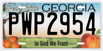GA license plate PWP2954