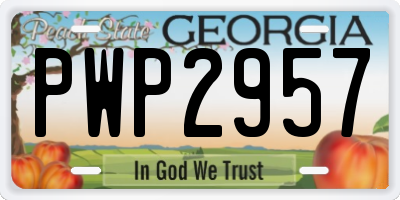 GA license plate PWP2957
