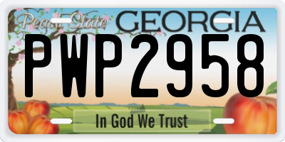 GA license plate PWP2958