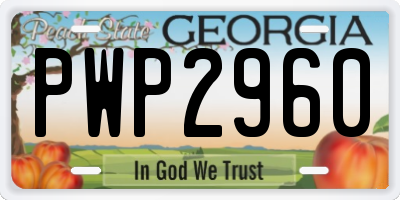 GA license plate PWP2960