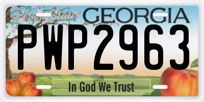 GA license plate PWP2963