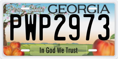 GA license plate PWP2973