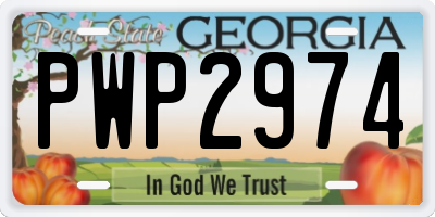 GA license plate PWP2974