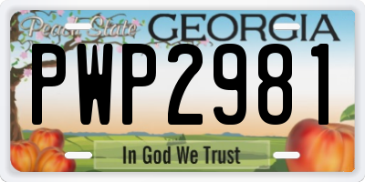 GA license plate PWP2981