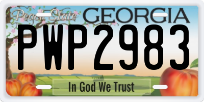GA license plate PWP2983