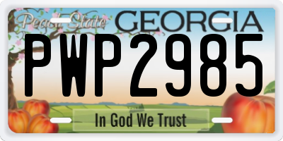 GA license plate PWP2985
