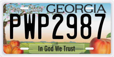 GA license plate PWP2987