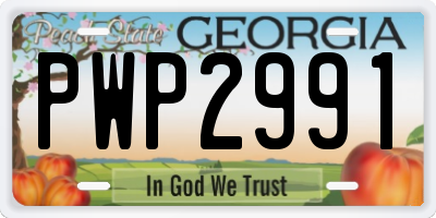GA license plate PWP2991