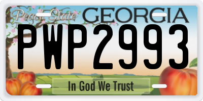 GA license plate PWP2993