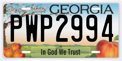 GA license plate PWP2994