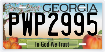 GA license plate PWP2995