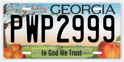 GA license plate PWP2999